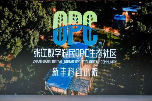 当新就业群体风生水起，上海文创园的第二春来了